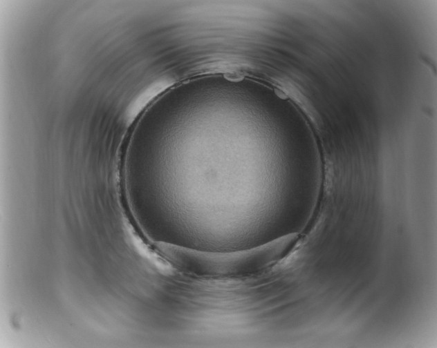 X0000099381042200805151614