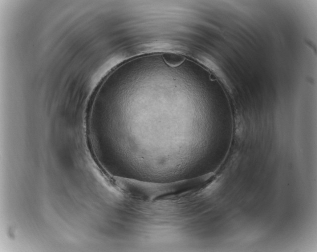 X0000099381043200805151614