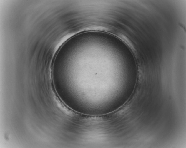 X0000099381044200805151614