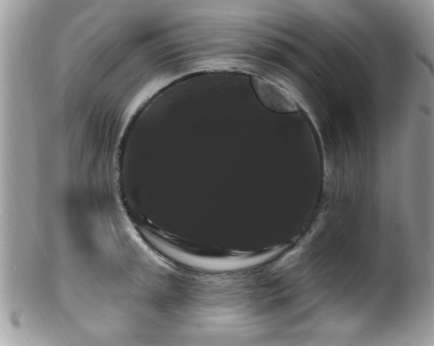 X0000099381045200805151614