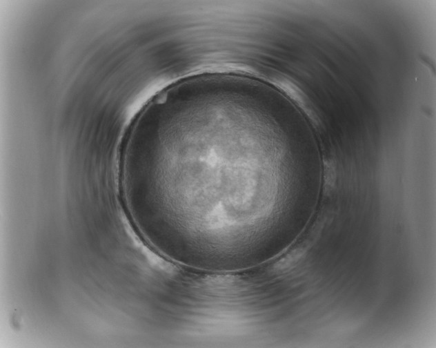 X0000099381046200805151614