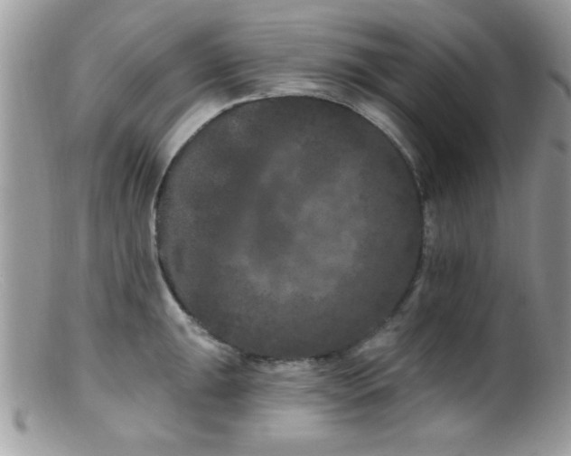 X0000099381047200805151614