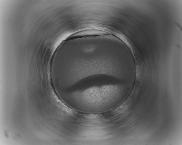 X0000099381048200805151614