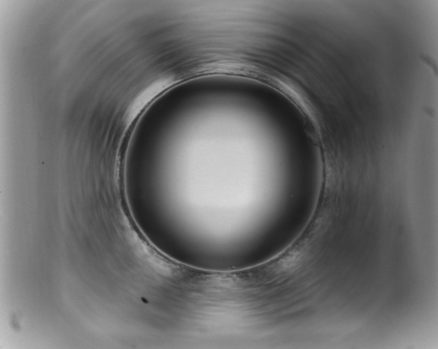 X0000099381050200805151614