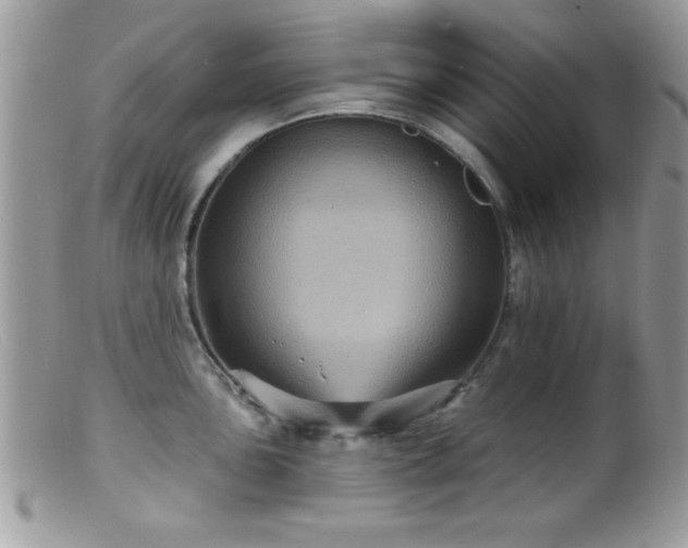 X0000099381051200805151614