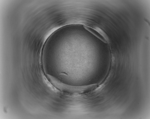 X0000099381052200805151614