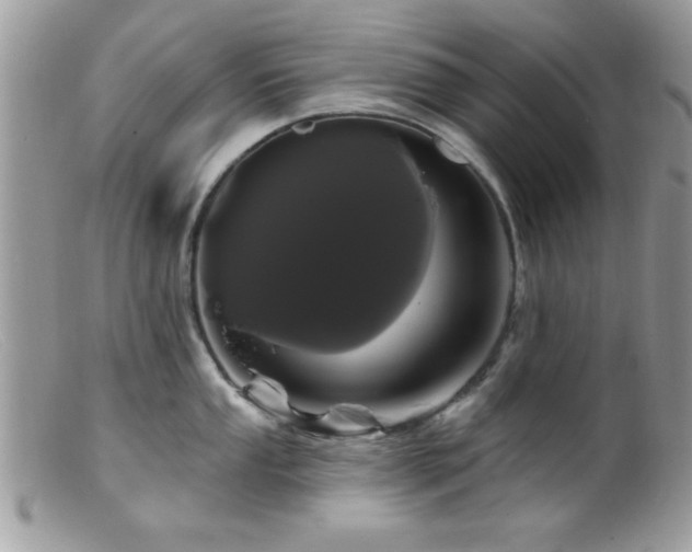 X0000099381053200805151614