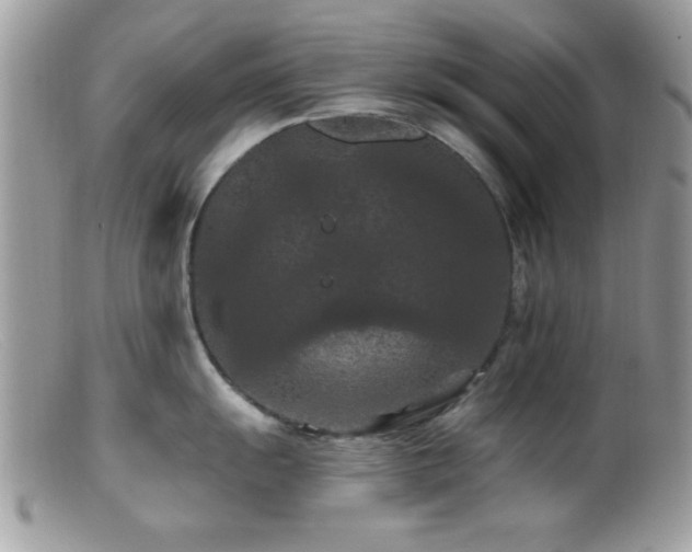 X0000099381055200805151614