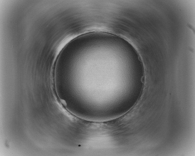 X0000099381056200805151614