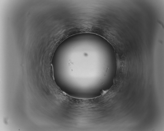 X0000099381057200805151613