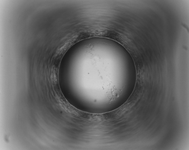 X0000099381058200805151613