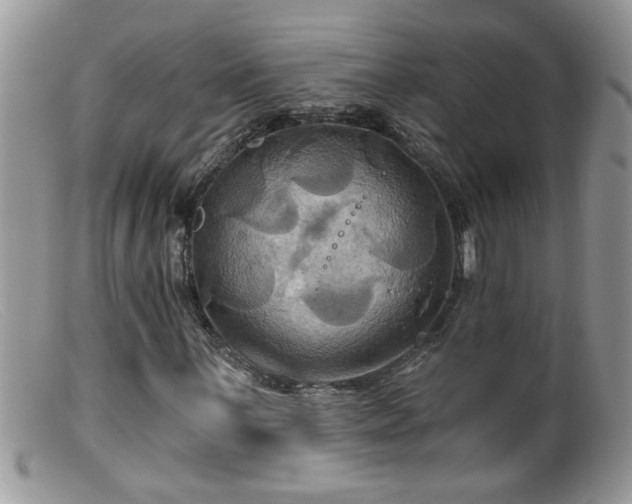 X0000099381059200805151613