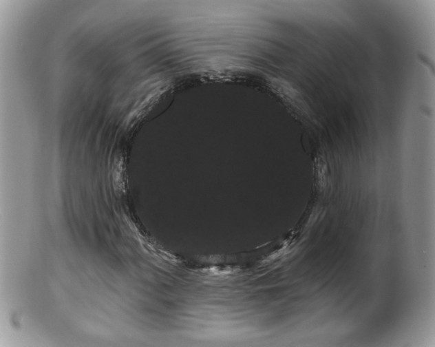 X0000099381060200805151613