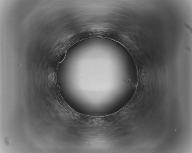 X0000099381061200805151613