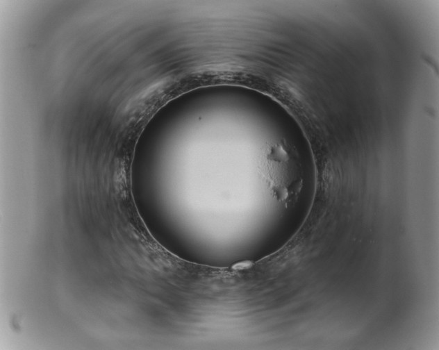 X0000099381062200805151613