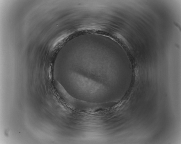 X0000099381064200805151613