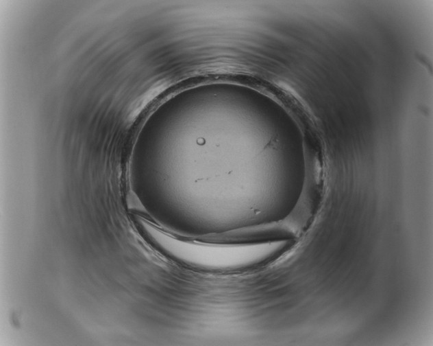 X0000099381065200805151613