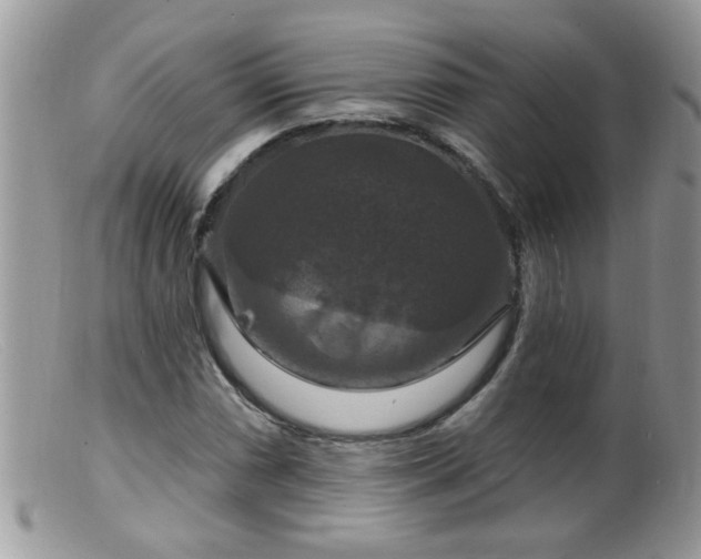 X0000099381066200805151613