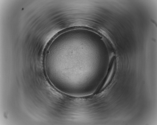 X0000099381068200805151613