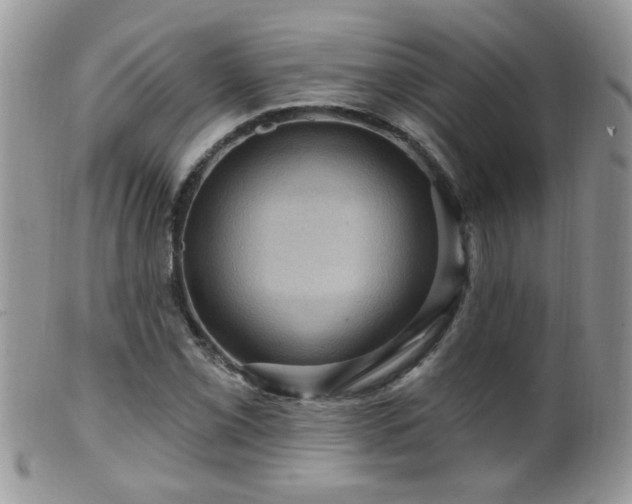 X0000099381069200805151613