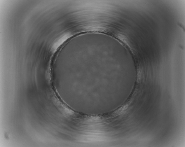 X0000099381071200805151613