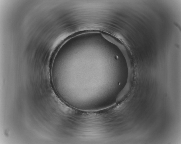 X0000099381072200805151613