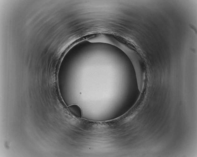 X0000099381073200805151613