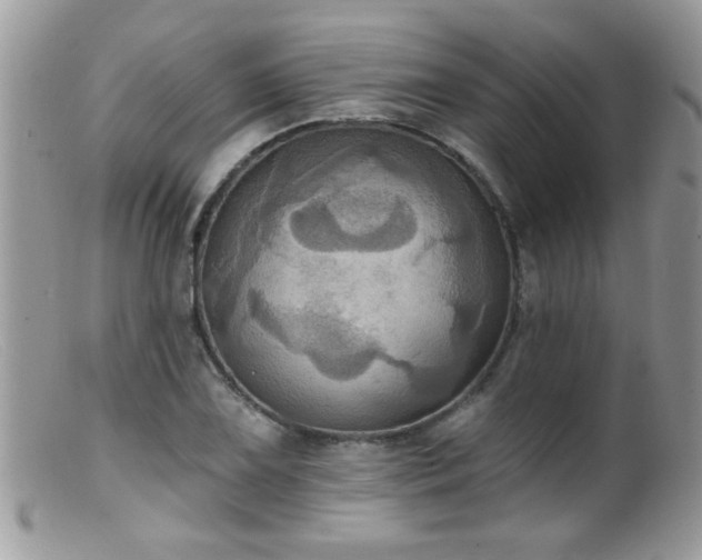 X0000099381075200805151613