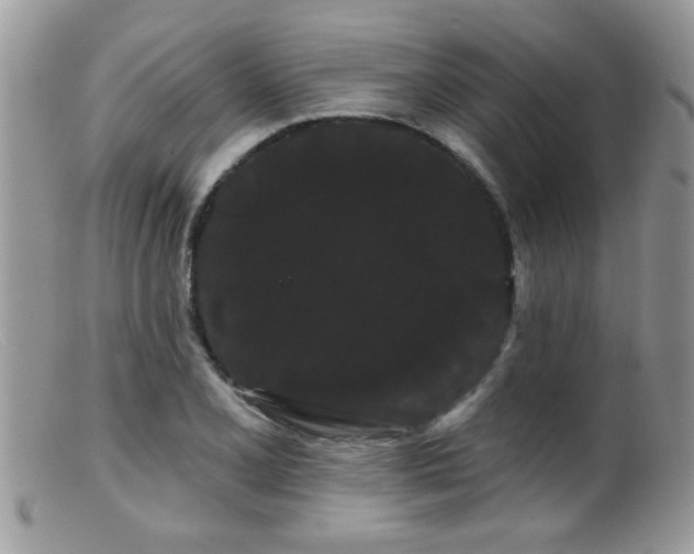 X0000099381077200805151613