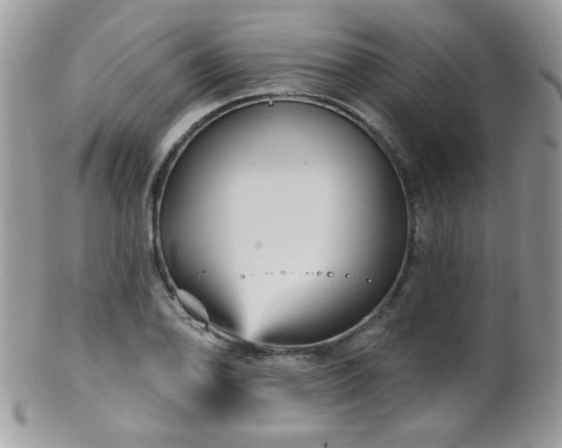 X0000099381078200805151613