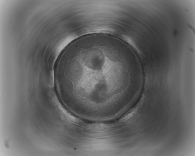 X0000099381079200805151613