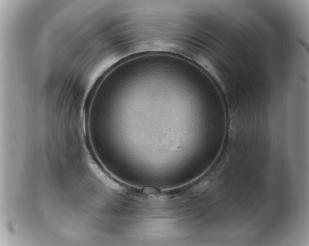 X0000099381080200805151613