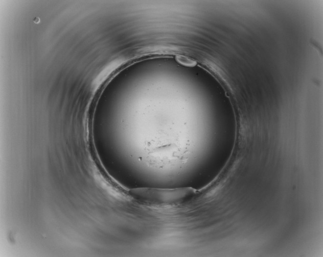 X0000099381082200805151613