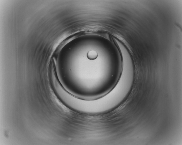 X0000099381083200805151613