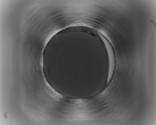 X0000099381084200805151613