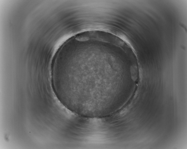 X0000099381088200805151613