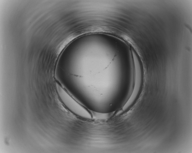 X0000099381089200805151613