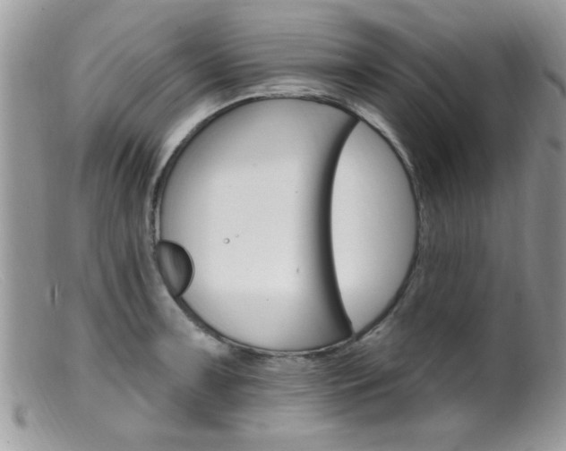 X0000099381091200805151613