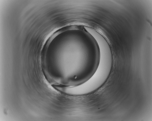 X0000099381092200805151613