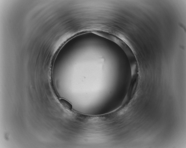 X0000099381093200805151613