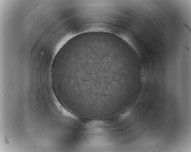 X0000099381094200805151613