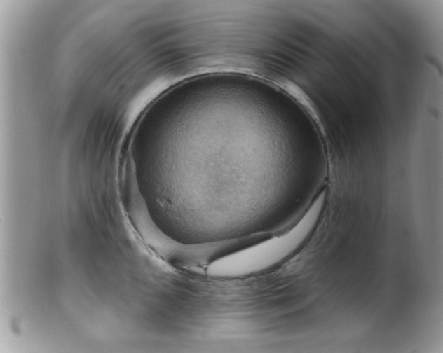 X0000099381096200805151613