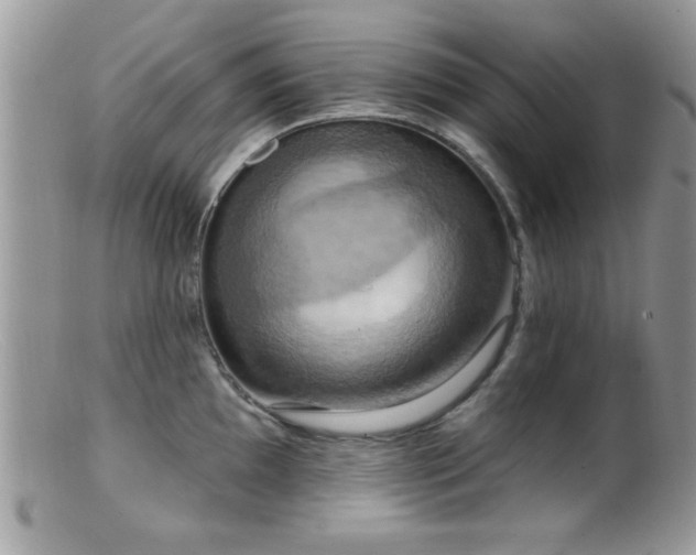 X0000099381097200805151612