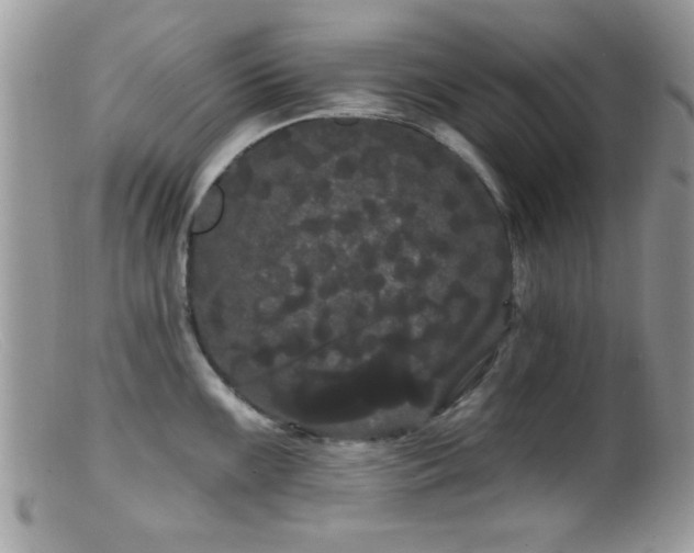 X0000099381099200805151612