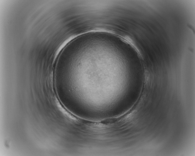 X0000099381100200805151612