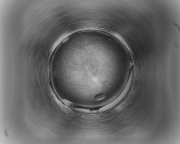 X0000099381101200805151612