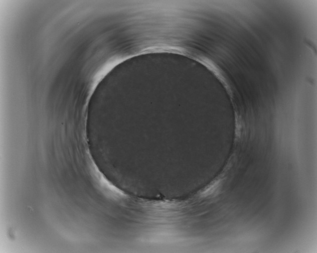 X0000099381102200805151612