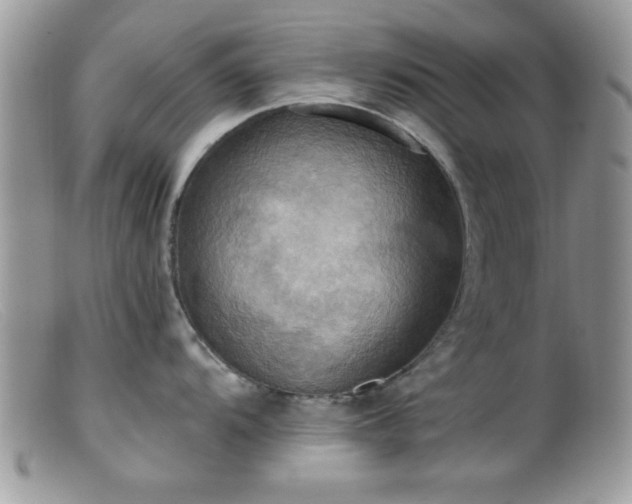 X0000099381104200805151612