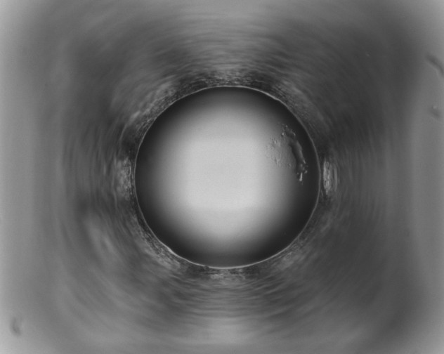 X0000099381107200805151612