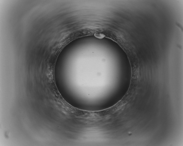 X0000099381109200805151612